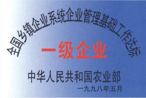 一級（jí）企（qǐ）業（yè）